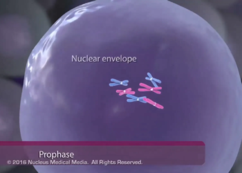 0655f720 6acc 4dab 9596 9c9c6389c435