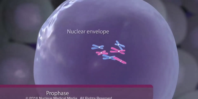 0655f720 6acc 4dab 9596 9c9c6389c435