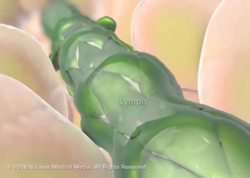 6c65d236 8df2 45db 88e9 e264336c8d54