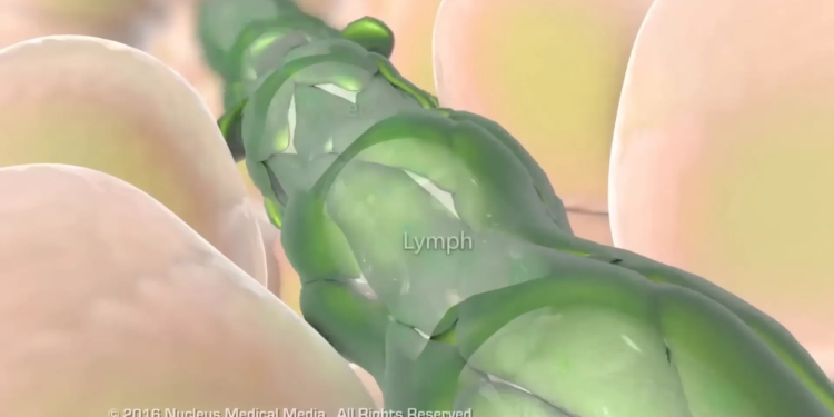 6c65d236 8df2 45db 88e9 e264336c8d54