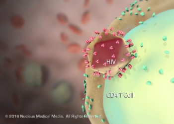 ad8ed391 a926 41da a141 80161162ae4d