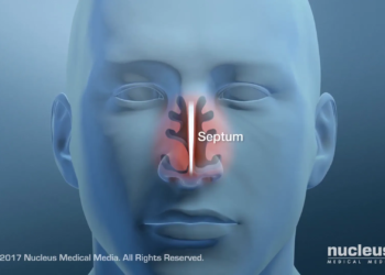 47cbda6e 7252 4bfe ae7d e0d454ad2bdb