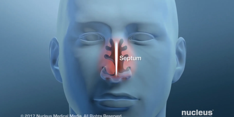 47cbda6e 7252 4bfe ae7d e0d454ad2bdb