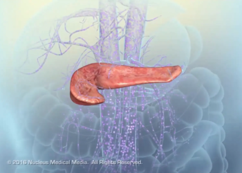 b128a161 668d 4e5b 9ce5 97ffba51a141