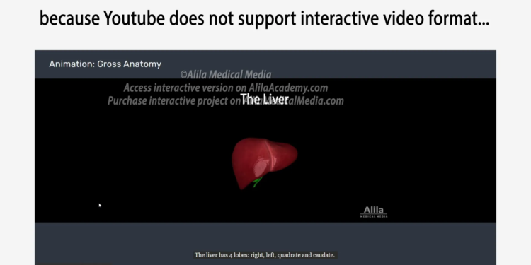 e08b340c ee21 4a3c ab44 c5639bbe5bf5